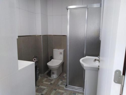 a bathroom with a toilet and a shower and a sink at Nur Konak daire 3 in Çanakkale