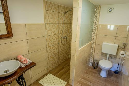 y baño con aseo, lavabo y ducha. en Domačija Gačnik, en Idrija