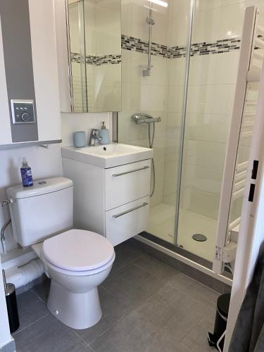 une salle de bain avec des toilettes blanches et une douche dans l'établissement L appart 516, à Villers-sur-Mer