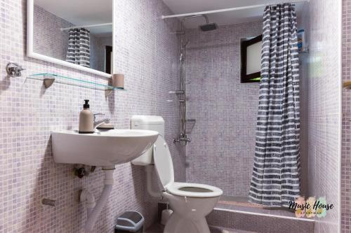 a bathroom with a sink and a toilet and a shower at Music House Apartment in Tuzla
