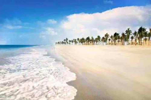 a beach with a row of palm trees and the ocean at Beautiful Flat By The Beach Salalah in Salalah
