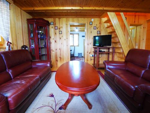 a living room with a leather couch and a table at Holiday Home Bella in Žabljak