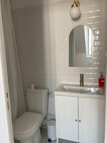 La salle de bains est pourvue de toilettes, d'un lavabo et d'un miroir. dans l'établissement Studio neuf Pont-rousseau Rezé, à Rezé