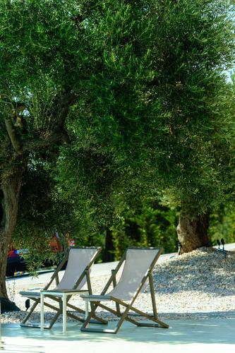 Κήπος έξω από το Casa Panorama Adults Only