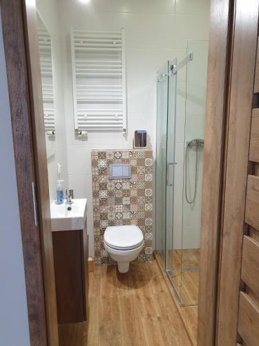 a bathroom with a toilet and a glass shower at Apartamenty Dora in Sopot