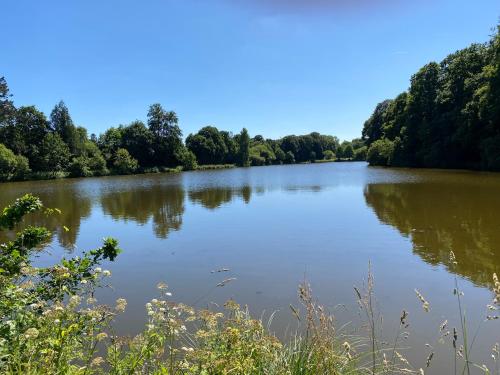 a large lake with trees in the background at ancien moulin à eau entièrement rénové in Prat