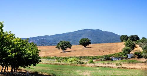 Paesaggio naturale nelle vicinanze dell'agriturismo