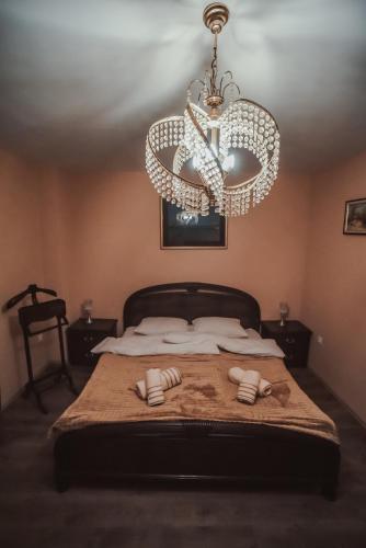 a bedroom with a bed with a chandelier at Villa 1880 in Sremski Karlovci