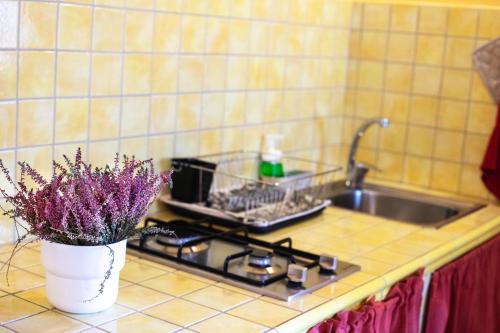 blat kuchenny ze zlewem i waza z fioletowymi kwiatami w obiekcie Agriturismo Poggio Degli Ulivi w mieście Bomarzo