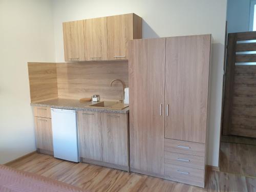 a small kitchen with wooden cabinets and a sink at Apartamenty Dora in Sopot