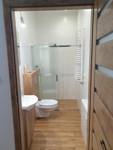 a bathroom with a toilet and a shower and a sink at Apartamenty Dora in Sopot