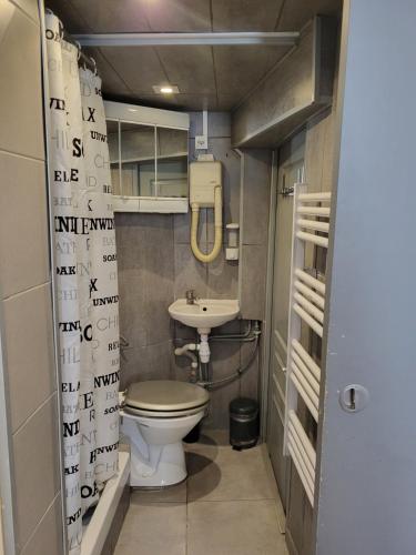 La petite salle de bains est pourvue de toilettes et d'un lavabo. dans l'établissement otela delacure, à Arles