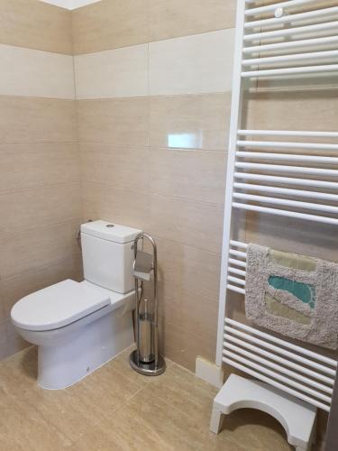 a bathroom with a toilet and a towel rack at Yellow Cube Holiday Apartments in Kožino