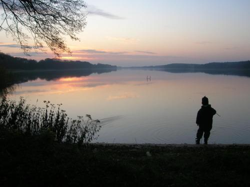 Gallery image of Appartementhof Fastnacht am See 