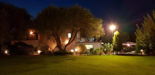 a house with a tree in a yard at night at Casa Vacanze Nino Petrelli in Naso