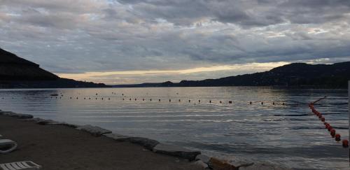 a large body of water with ducks in it at Camping Solcio in Lesa