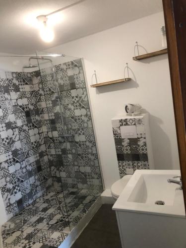 La salle de bains est pourvue d'une douche, de toilettes et d'un lavabo. dans l'établissement Super beau studio, à Port-la-Nouvelle