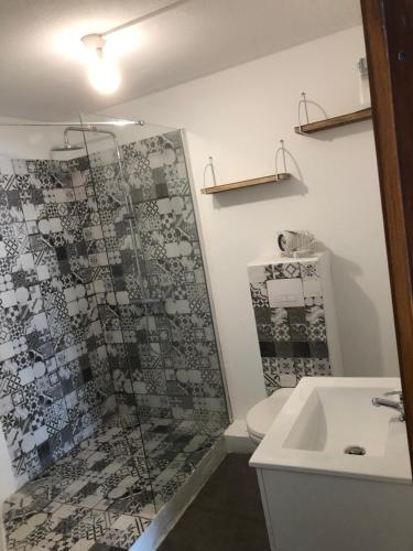 une salle de bain avec une douche, des toilettes et un lavabo dans l'établissement Super beau studio, à Port-la-Nouvelle