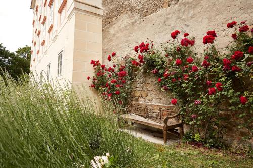 a wooden bench sitting next to a wall with red roses at Exklusive Suiten im Schloss Horn in Horn