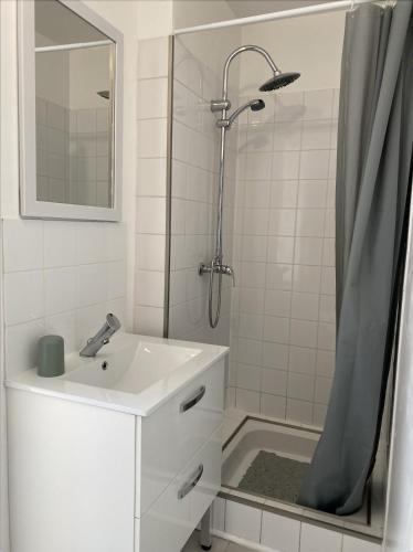 a white bathroom with a sink and a shower at Le Petit Cesar in Hautvillers