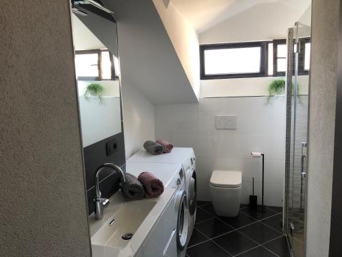 ein Bad mit einem Waschbecken und einem WC in der Unterkunft Room Aria in Kobarid