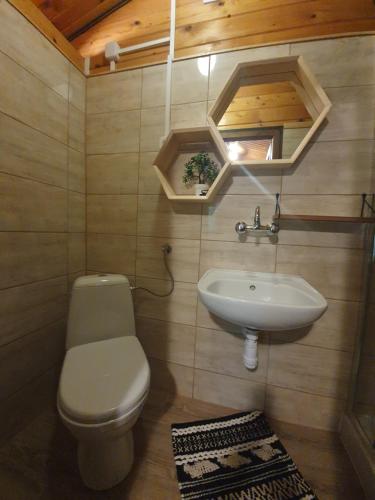 a bathroom with a toilet and a sink at Domki letniskowe pod Brzozami Stella in Polańczyk