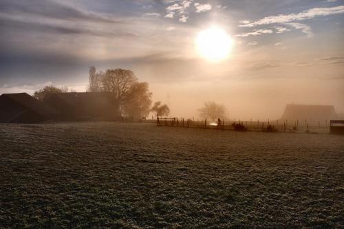 a foggy field with the sun in the sky at Prophetengut - die Perle im Jurapark in Habsburg