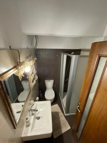 a bathroom with a sink and a toilet and a mirror at Casa verde ver in Makrirrákhi