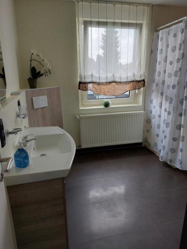 ein Bad mit einem Waschbecken und einem Fenster in der Unterkunft Ferienwohnung Thamm in Lage
