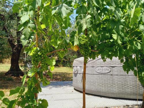 a stone bench in the middle of a park at Agriturismo Fonteregia in Montecatini Terme