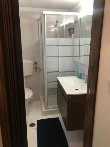 a bathroom with a toilet and a sink and a shower at Gourgiana Apartments in Andritsaina