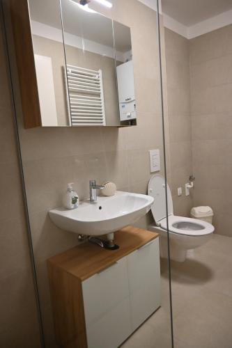 Gallery image of Rest apartment Cerknica in Cerknica