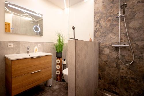 La salle de bains est pourvue d'une douche, d'un lavabo et de toilettes. dans l'établissement Bergblick Ruhe und Aussicht auf 1100m, à Sankt Lorenzen ob Murau