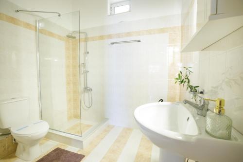 a bathroom with a shower and a toilet and a sink at La Pietra Verga in Kalamata