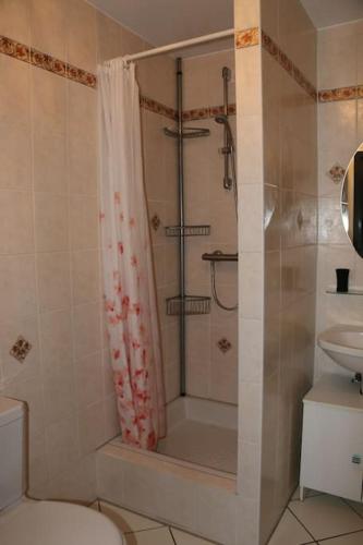 une salle de bain avec une douche, des toilettes et un lavabo dans l'établissement Marco Polo, à Horbourg-Wihr