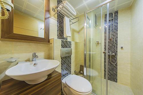 イスタンブールにあるペラ アルヤ ホテルのバスルーム(洗面台、トイレ、シャワー付)