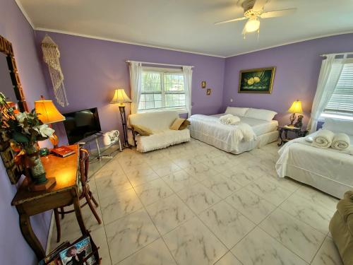 a living room with two beds and a tv at Adonai Hotel Boutique in Willemstad