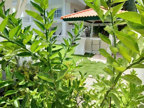 Ein Garten an der Unterkunft Adonai Hotel Boutique