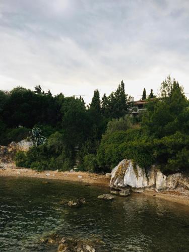 a view of a body of water with trees at Lito's dream villa by the sea! in Amaliápoli