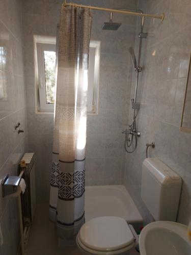 uma casa de banho com um WC, um chuveiro e um lavatório. em Olive Tree em Zadar