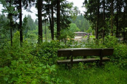 a park bench sitting in the middle of a field at Hotel Waldrausch in Hahnenklee-Bockswiese