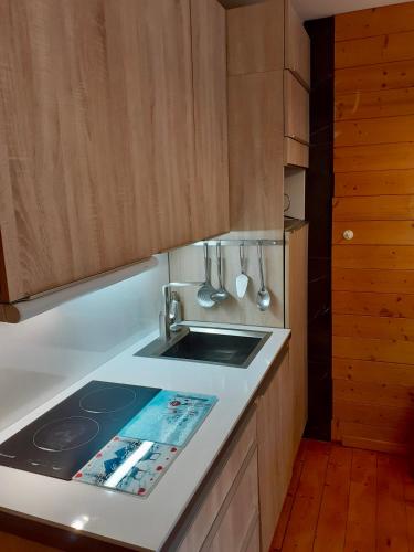 une cuisine avec un évier et une cuisinière four supérieur dans l'établissement Studio centre station AURON 4 personnes WIFI, à Auron