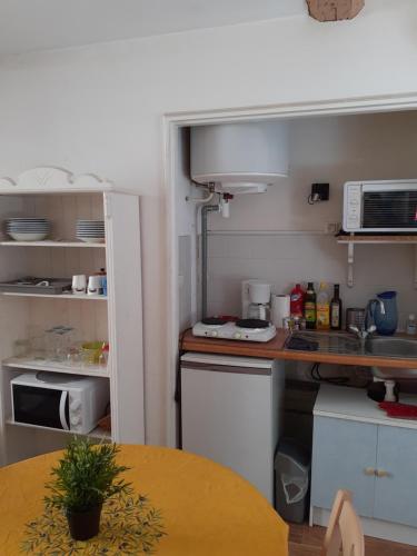 - une petite cuisine avec une table et un comptoir dans l'établissement Studio intra-muros 5mn gare centre, à Avignon