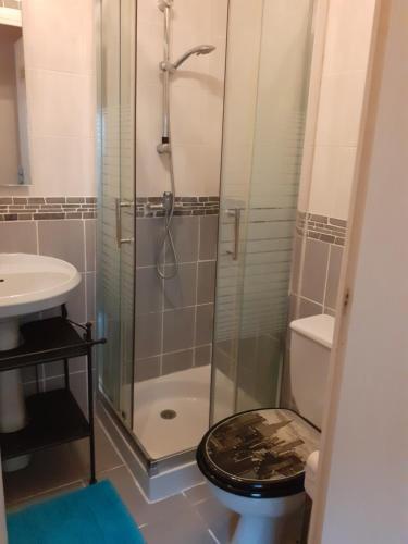 a bathroom with a shower and a toilet and a sink at Studio intra-muros 5mn gare centre in Avignon