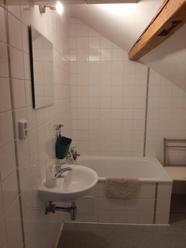 Koupelna v ubytování Dům U Šípku