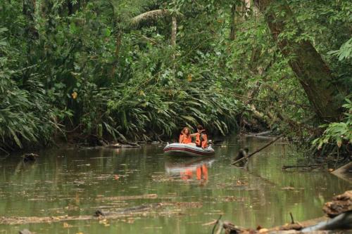 Landskap semula jadi dekat dengan rumah tamu ini