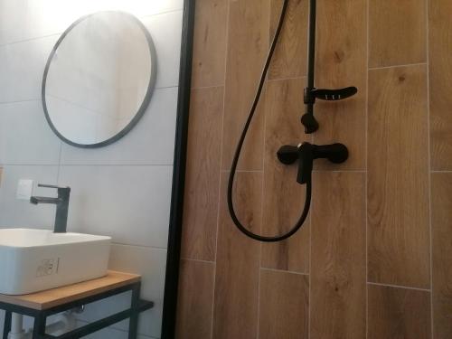 a bathroom with a shower with a sink and a mirror at M&M Apartamenty Wicie in Wicie