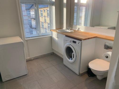 bagno con lavatrice e lavandino di Lovely and homey Apartment at Frederiksberg a Copenaghen