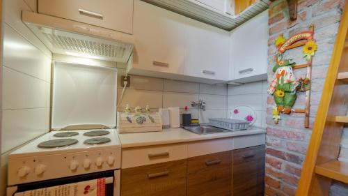 a small kitchen with a stove and a sink at Chalet Woody in Stara Sušica