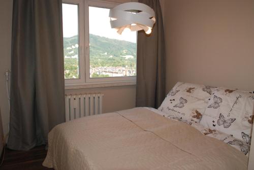 1 dormitorio con cama y ventana grande en Apartament Manhatan 4, en Ustroń